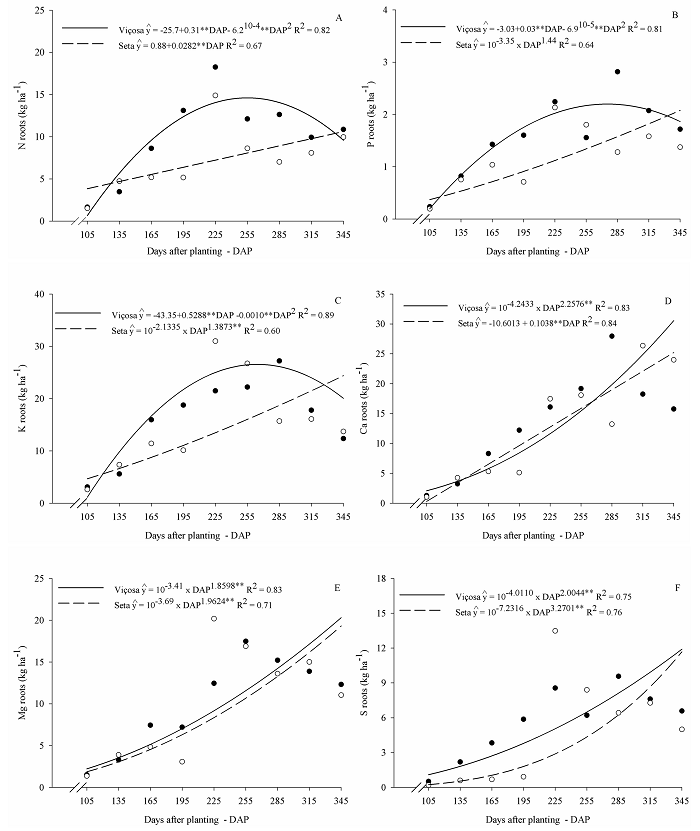 Contents of N, P, K, Ca, Mg, and S in the roots of the arrowroot varieties Vi&ccedil;osa and Seta throughout the cultivation cycle. **Significant at 1% probability by the t-test.