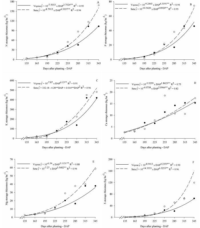 Contents of N, P, K, Ca, Mg, and S in the storage rhizomes of the arrowroot varieties Vi&ccedil;osa and Seta throughout the cultivation cycle. **Significant at 1% probability by the t-test.