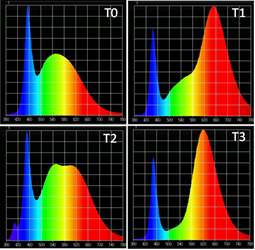 Spectrum profile of each LED used as a treatment during the rooting and growing phase of Lavandula dentata plants. T0 = Roblan&reg; LED T8 18W; T1 = Valoya&reg; L18 AP67 Milky; T2 = Valoya&reg; L18 NS1 18W; T3 = Valoya&reg; L18 AP673L Milky.