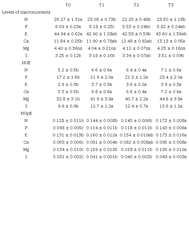 Levels of macronutrients (g&middot;kg-1): nitrogen (N), phosphorus (P), potassium (K), calcium (Ca), magnesium (Mg) and sulfur (S). Nutrient use efficiency (NUE) and nutrient uptake efficiency (NUpE) of Lavandula dentata plants after 60 days on growing phase, under light treatments.