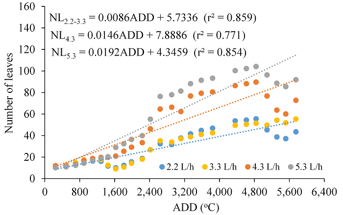 Increase in number of leaves (NL) as a function of accumulated degree-days (ADD) (&ordm;C day) in black peppers (Piper nigrum) subjected to different irrigation levels.