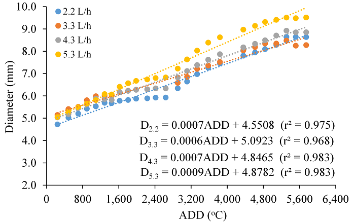 Stem diameter (mm) growth as a function of accumulated degree-days (ADD) (&ordm;C day) in black pepper (Piper nigrum) plants subjected to different irrigation levels.