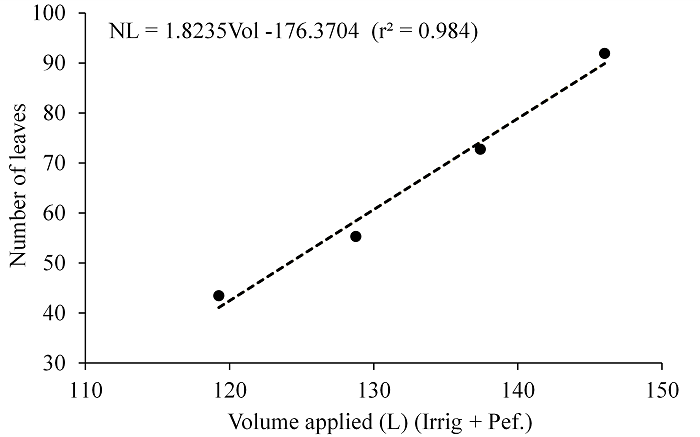 Increase in number of leaves of black peppers (cv. Bragantina) as a function of the total water volume received throughout the cultivation. *Significant at 5% probability level by F-test.
