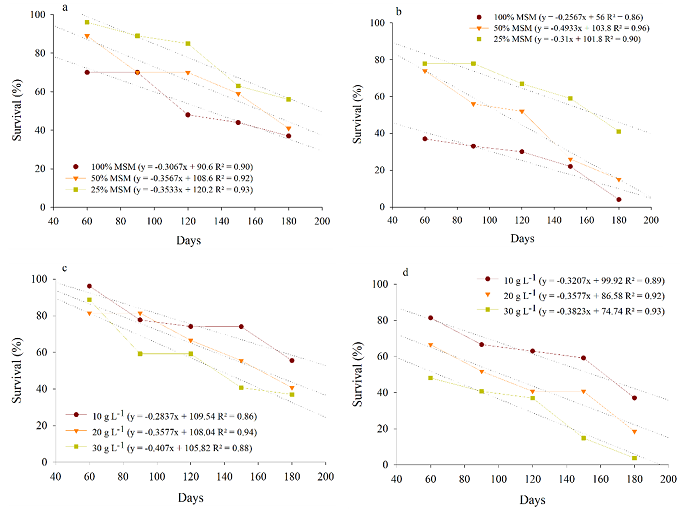 Survival of shoots of Passiflora edulis &lsquo;UENF Rio Dourado&rsquo; during 60 to 180 days of in vitro culture. (a) Media at 100% MSM, 50% MSM, and 25% MSM incubated in a germination chamber at 20 &plusmn; 2 &deg;C and luminous intensity of 25 &micro;mol m-2 s-1; (b) Media at 100% MSM, 50% MSM and 25% MSM incubated in a growth room with 27 &plusmn; 2&deg;C and luminous intensity of 54 &micro;mol m-2 s-1; (c) Sucrose concentrations of 10 , 20, and 30 g L-1 incubated in a germination chamber at 20 &plusmn; 2&deg;C and luminous intensity of 25 &micro;mol m-2 s-1; and (d) Sucrose concentrations of 10, 20 and 30 g L-1 incubated 27 &plusmn; 2&deg;C and luminous intensity of 54 &micro;mol m-2 s-1.
