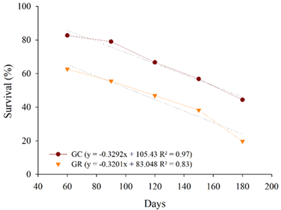 Survival of shoots of Passiflora edulis &lsquo;UENF Rio Dourado&rsquo; during 60 to 180 days incubated in a germination chamber at 20 &plusmn; 2&deg;C and luminous intensity of 25 &micro;mol m-2 s-1 and in a growth room at 27 &plusmn; 2&deg;C and luminous intensity of 54 &micro;mol m-2 s-1.