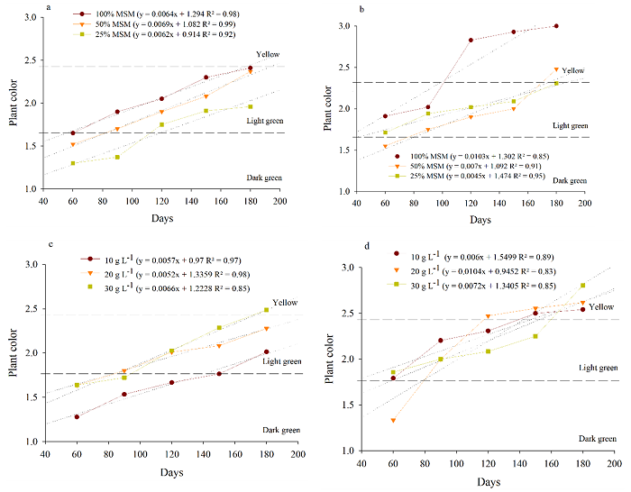 Shoot color of Passiflora edulis &lsquo;UENF Rio Dourado&rsquo; during 60 to 180 days of in vitro culture: (a) 100% MSM, 50% MSM, and 25% MSM media incubated in a germination chamber at 20 &plusmn; 2&deg;C and luminous intensity of 25 &micro;mol m-2 s-1; (b) 100% MSM, 50% MSM, and 25% MSM media incubated in a growth room at 27 &plusmn; 2 &deg;C and luminous intensity of 54 &micro;mol m-2 s-1; (c) Sucrose concentrations of 10, 20 and 30 g L-1 incubated in a germination chamber at 20 &plusmn; 2&deg;C and luminous intensity of 25 &micro;mol m-2 s-1; (d) Sucrose concentrations of 10, 20 and 30 g L-1 incubated at 27 &plusmn; 2&deg;C and luminous intensity of 54 &micro;mol m-2 s-1.