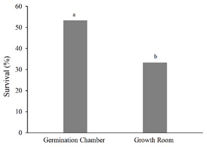 Mean survival of shoots of Passiflora edulis &lsquo;UENF Rio Dourado&rsquo; in regeneration medium for 30 days after 60 to 180 days incubated in a germination chamber at 20 &plusmn; 2&deg;C and luminous intensity of 25 &micro;mol m-2 s-1 and in a growth room at 27 &plusmn; 2&deg;C and luminous intensity of 54 &micro;mol m-2 s-1. Means followed by the same letters did not differ (Tukey's test, p &le; 0.05).