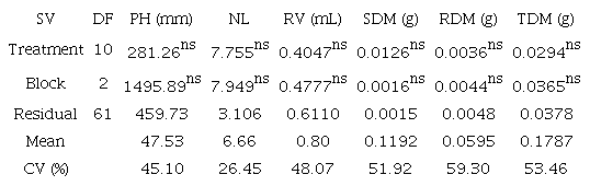 Summary of analysis of variance for the variables of plant height (PH), number of leaves (NL), root volume (RV), shoot dry matter (SDM), root dry matter (RDM), and total dry matter (TDM) analyzed after 30 days of acclimatization of plants of Passiflora edulis &lsquo;UENF Rio Dourado&rsquo; after slow growth for 180 days.