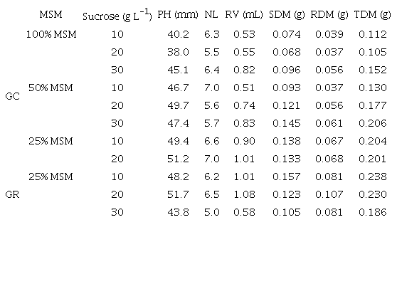 Means of the variables of plant height (PH), number of leaves (NL), root volume (RV), shoot dry matter (SDM), root dry matter (RDM), and total dry matter (TDM) analyzed after 30 days of acclimatization of plants of Passiflora edulis &lsquo;UENF Rio Dourado&rsquo; after slow growth for 180 days.