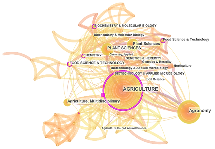 Network organized by subject category.