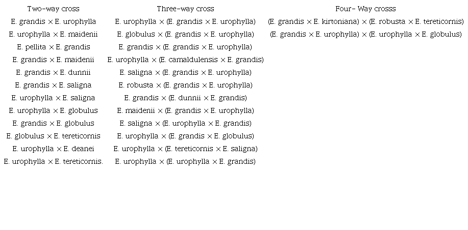 Hybrids of Eucalyptus evaluated in four environments (CB, CP, FZ, and SJ).
