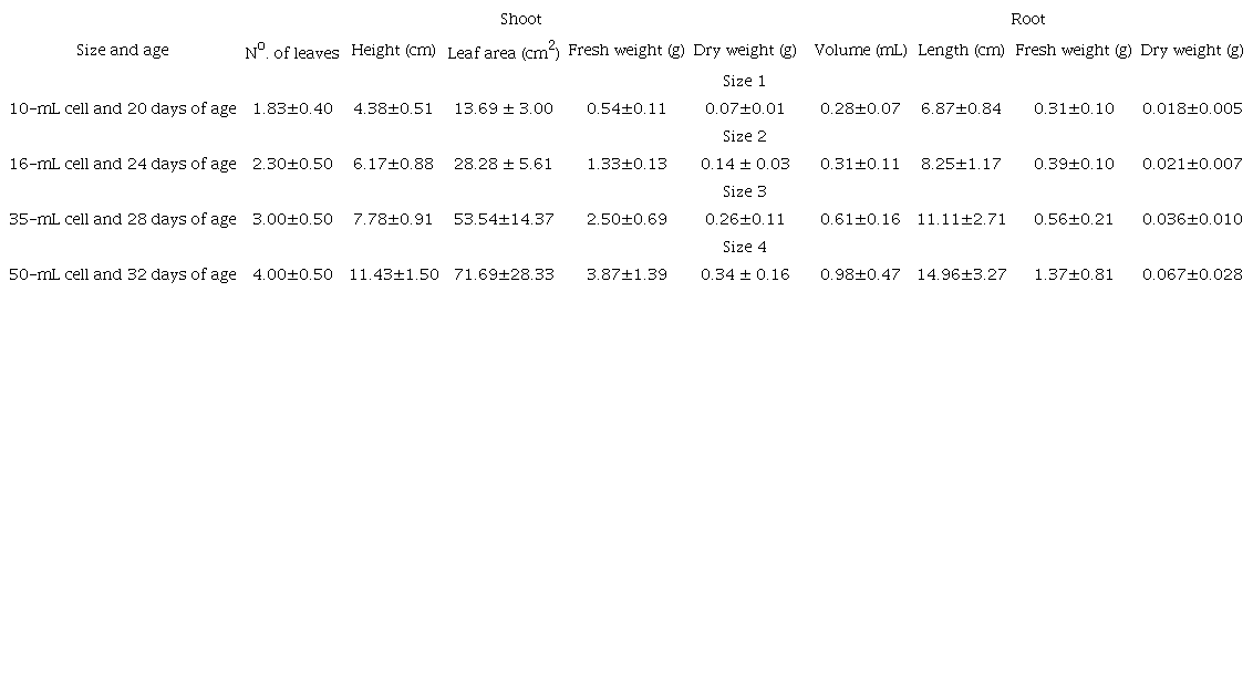 Attributes of the shoot and roots of the 4 sizes of broccoli seedlings developed in trays with 4 different volumes (10, 16, 35, and 50 mL) and 4 ages counted after the date of sowing (20, 24, 28, and 32 days).