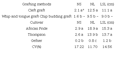 Mean data of number of shoots (NS), number of leaves (NL) e longest sprout length (LSL) of grafts of atemoya seedlings (Annona squamosa L. x A. cherimola Mill.), as a function of grafting methods and cultivar. Unioeste, Campus of Marechal Cândido Rondon, Paraná State, Brazil, 2021.