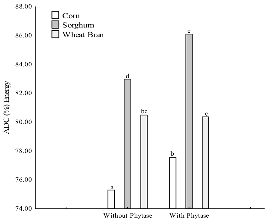 Apparent energy digestibility coefficient (ADC) of corn, sorghum and wheat bran with and without phytase by silver catfish (Rhamdia voulezi).