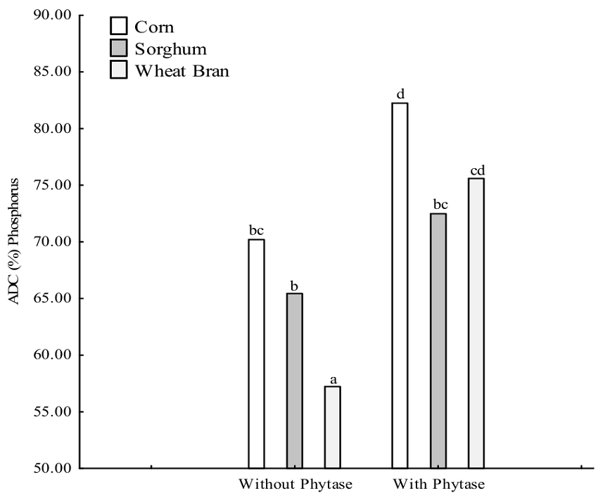 Apparent phosphorus digestibility coefficient (ADC) of corn, sorghum and wheat bran with and without phytase by silver catfish (Rhamdia voulezi).