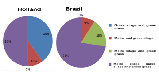 Type of forage of dairy farming system from Holland and Brazil
