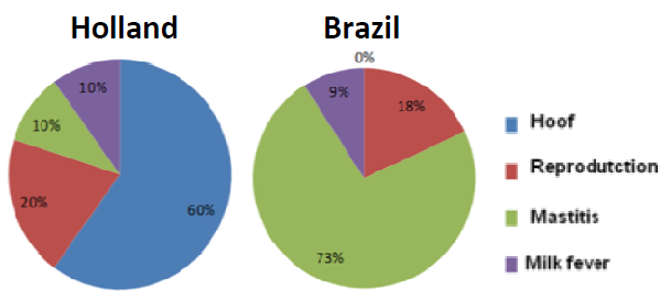 Principals cause of problems described by Dutch and Brazilian farmers.