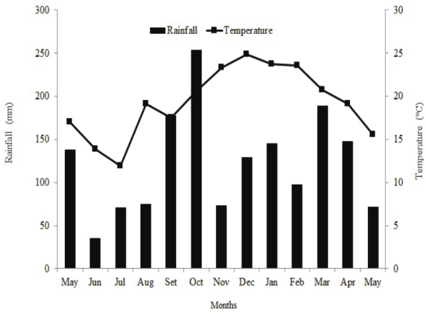 Cumulative rainfall and average monthly air temperature between May 2012 and May 2013, Santa Maria, Brazil.