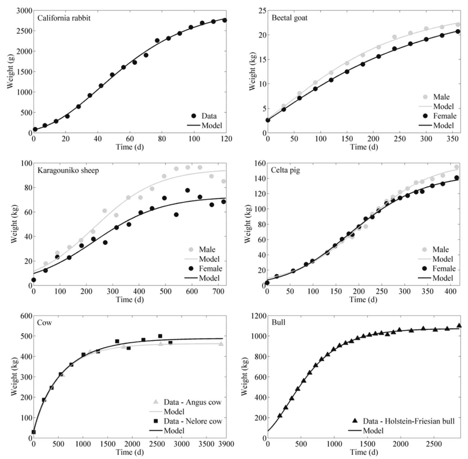 Mammals growth kinetics fitted to the Richards’ model.