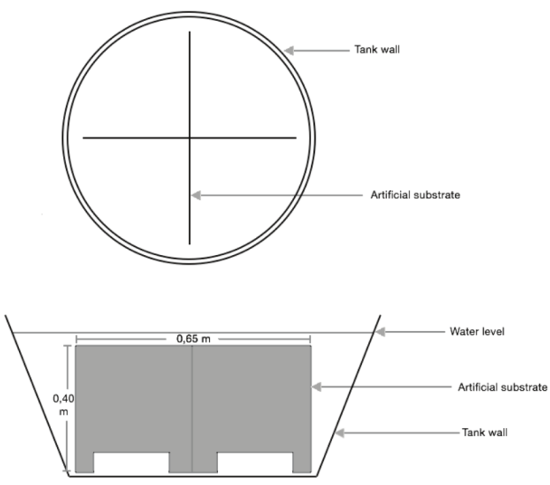 Layout of the Biophyton tank (BP and BP-30). 