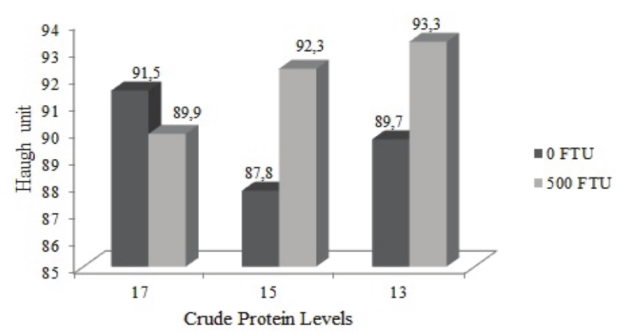 Interaction between crude protein levels and phytase enzyme on average Haugh unit.