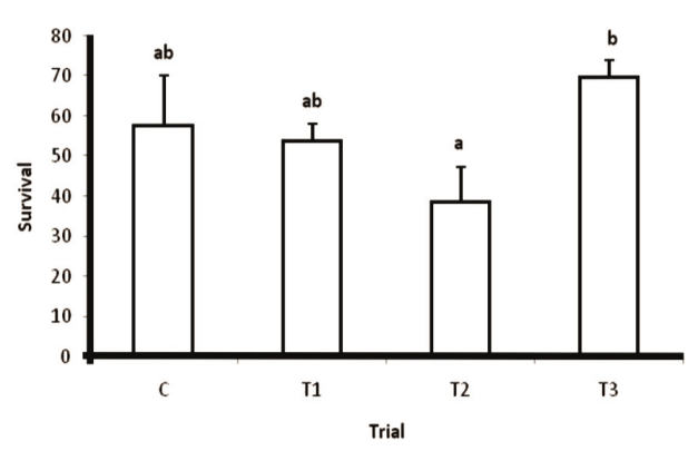 Survival rates of O. gourami larvae reared during 12 weeks of culture. Bars represented by different superscript letters indicate significantly different values (p < 0.05).
