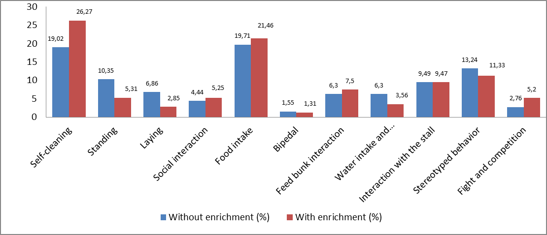 Frequency (percentage) of the different behaviors of lactating Saanen dairy goats housed in environments with or without enrichment.