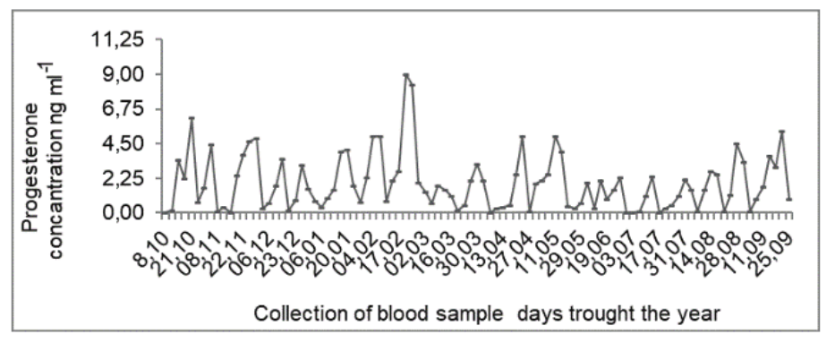 example of estrous cycle of an ewe without anestrous period with progesterone profile throughout the year.