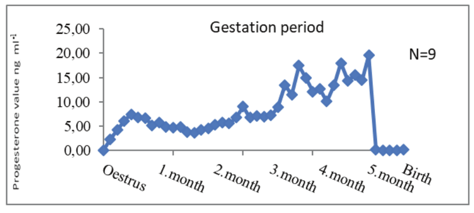 The mean value of Progesterone concentrations in gestation period of White Karaman Sheep (n = 9). 