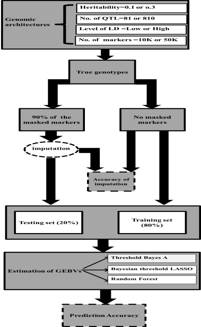 Schematic of the whole process from simulated scenarios to the prediction accuracy.