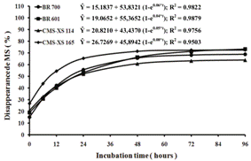 Dry matter (DM) disappearance of sorghum silages over incubation time (hours). 