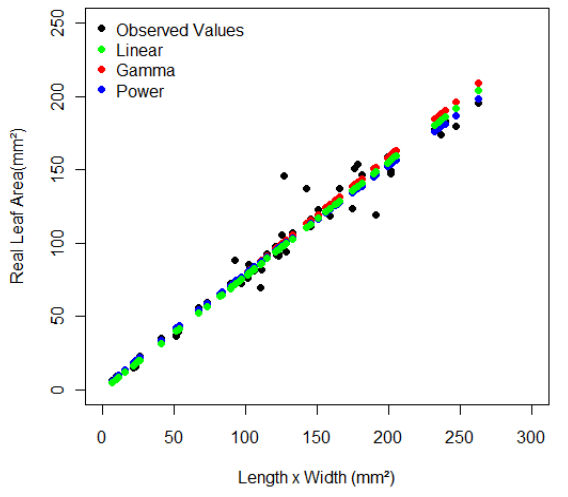 Estimation of real leaf area of the models in relation to the product of length by width for millet leaf blade, genotype IPA BULK 1BF.