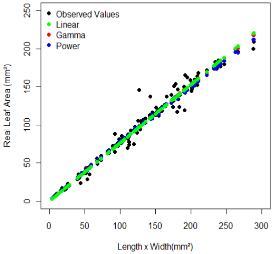 Estimation of real leaf area of the models in relation to the product of length by width of the leaf blade of millet, independent of evaluated genotype.