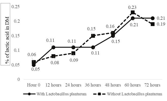Lactic acid found in DM of sugar cane silage inoculated with Lactobacillus plantarum LPBR01 and the control treatment.