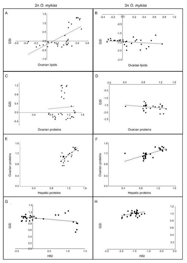 Pearson correlation in diploid (2n) and triploid (3n) female of O. mykiss. A-B) Correlation between GSI and ovarian lipids; C-D) GSI and ovarian proteins; E-F) ovarian and hepatic proteins and G-H) GSI and HSI in 2n and 3n females, respectively.