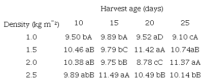 Crude Protein (CP) of the complete forage of hydroponic corn (corn + substrate) as a function of sowing density (kg m-²) and harvest ages (days).