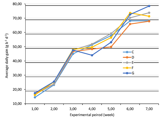 BWG of five commercial broiler strains at 1 to 7 weeks experimental period (C, Arbor Acres; D, Arian; E, Cobb; F, Ross; 308; G, Hubbard).