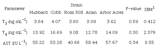Effect of strain on T3 and T4 hormones and AST in broiler chickens at 42 d of age.