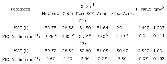 Effect of strain on hematocrit value (HCT) and red blood cell count (RBC) in broiler chickens.