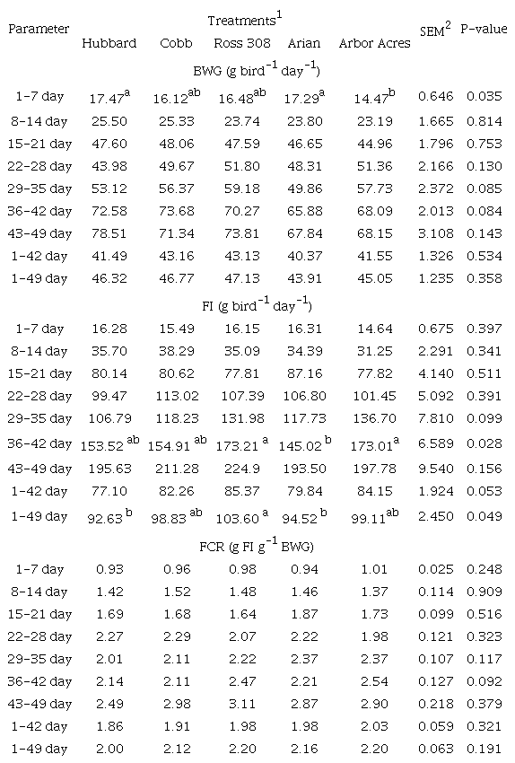 Effect of strain on growth performance in commercial broiler strains.