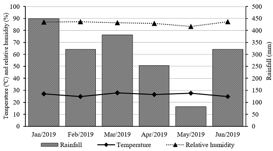 Temperature, relative humidity and rainfall during the experimental period.