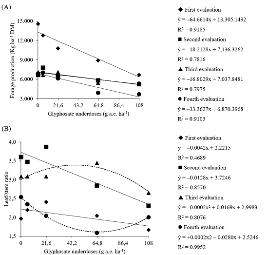 Effects of glyphosate and control treatments on the forage production (A), leaf/stem ratio (B), and lignin (C) content of Marandu grass in four evaluations.