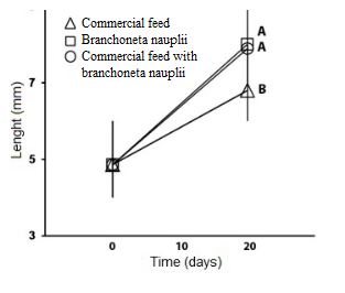 Tambaqui postlarvae mean length (mm) in the following treatments, T1 = Commercial feed, T2 = branchoneta nauplii, and T3 = Commercial feed with branchoneta nauplii. Means followed by different letters are significantly different according to Tukey’s test (p < 0.05).