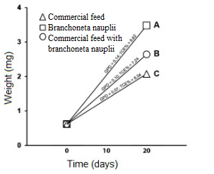 Tambaqui postlarvae mean weight (mg) in the following treatments, T1 = commercial feed, T2 = branchoneta nauplii, and T3 = commercial feed with branchoneta nauplii. Means followed by different letters are significantly different according to Tukey’s test (p < 0.05). (DWG = Daily weight gain; SGR = Specific growth rate).