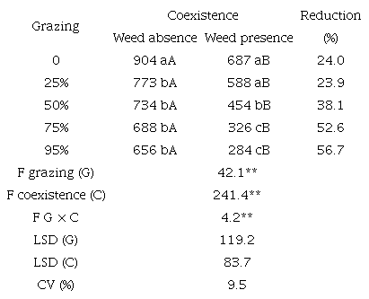 Total dry matter (g m−2) produced by Brachiaria decumbens and percentage of reduction as a function of the coexistence with spontaneous vegetation at 90 days after being subjected to grazing intensities.