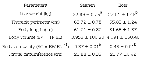 Body measurements of young male goats of Saanen and Boer breeds.