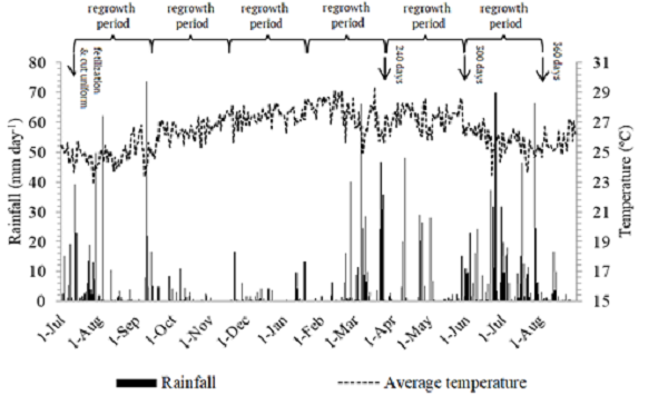 Daily rainfall and average temperature at the study site during the experiment.