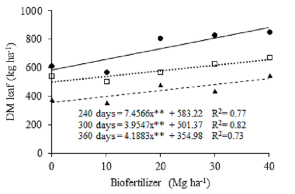 Production of leaf blade dry mass for massai grass as a function doses of biofertilizer added to the soil and successive cuts. ** Significant at 1%.