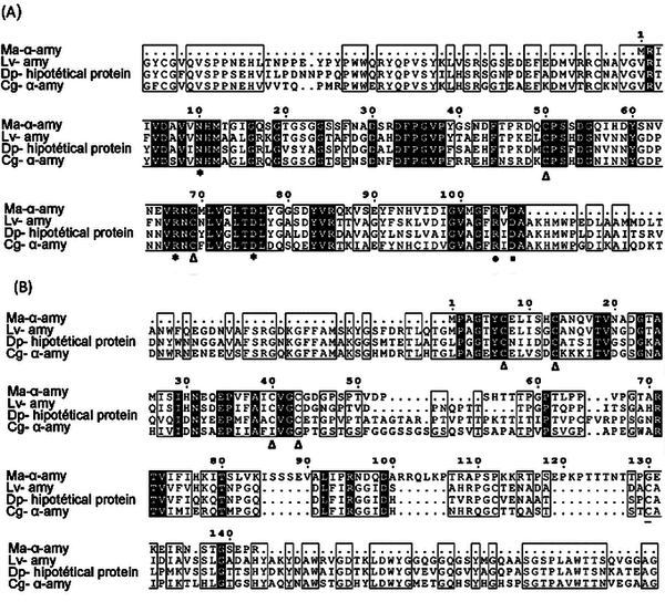 Alignment of the amino acid sequences in alpha-amylase of M. amazonicum and similar proteins from crustaceans and mollusks. Conserved and semi-conserved residues are highlighted in black and in boxes, respectively, and the cysteines - Cys(C) are marked by a delta (Δ) in both alignments. (A) alignment of partial fragment of the N-terminal region of the putative alpha-amylase enzyme of M. amazonicum. The calcium-binding residues are marked with an asterisk (*).The chloride-binding residue are marked by an circle (•) and the residues of the active site are marked with a square (▪); (B) alignment of the C-terminal region of the partial fragment 2 in the putative alpha-amylase enzyme of M. amazonicum.