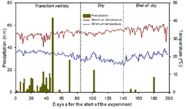 Climatic data during the trial period in the area.